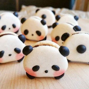 Meet your Posher, Jacky